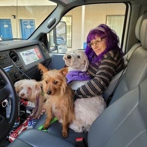 Meet your Posher, Abby